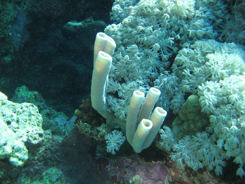 2009-12-04 11-17-44S.JPG